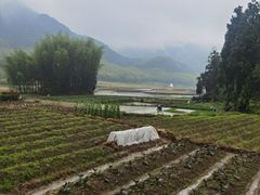 -泽雅景区