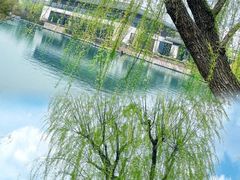 -广富林郊野公园