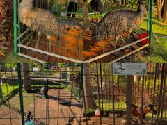 -西双版纳融创皇冠假日度假酒店