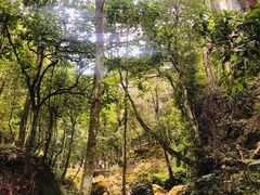 -龙岩森林水乡景区