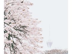 -红星桥(地铁站)