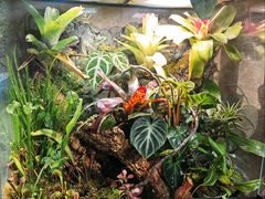 -Rabbit Cafe私房西餐甜点咖啡(栖霞路店)