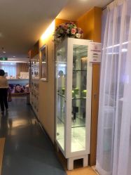 -深圳美莱医疗美容医院