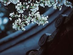 -鸡鸣寺