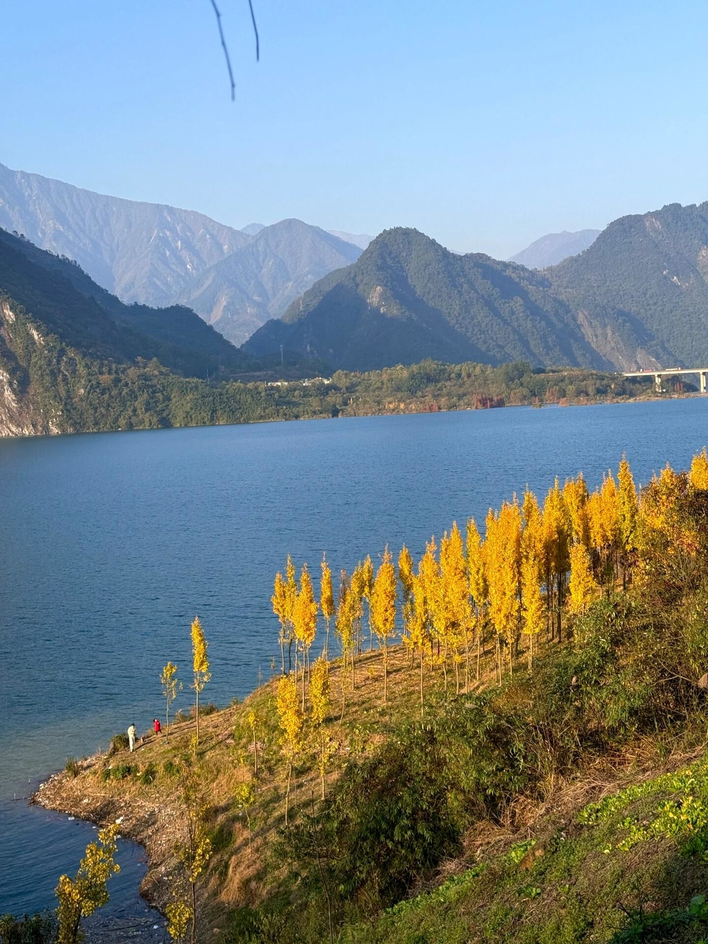 成都"小桂林"🌿都江堰紫坪铺水库