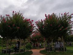 -武汉紫薇都市田园