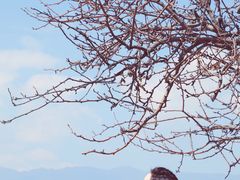-南诏风情岛
