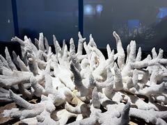 -中国（海南）南海博物馆