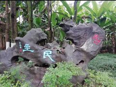 -重庆彩云湖湿地公园