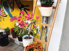 -茶是一枝花泡茶店