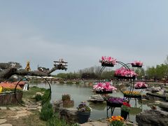 -荷兰花海
