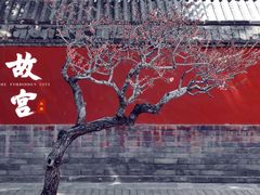 -故宫博物院(故宫)