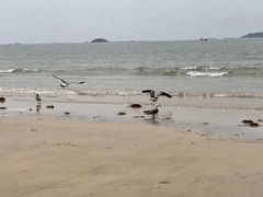 -青岛银沙滩