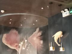 -老板恋上鱼(印象城店)