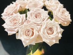 -坤思特1688咖啡(五洲花城店)