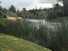 -墨尔本皇家植物园