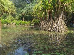 -中国科学院西双版纳热带植物园