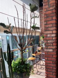 -THE BARN大屋理发馆