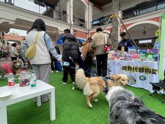 -瑞鹏宠物医院·超声·骨科·奇麟分院(蜀都万达店)