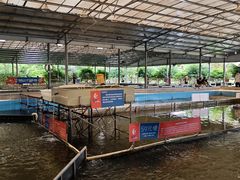 -粮心小农·大头虾亲子生态园(长发店)