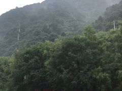 -沣峪口