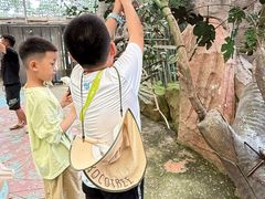 -西霞口神雕山野生动物世界