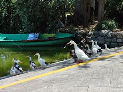 -城市运动公园(未央区)