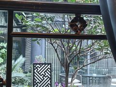 -大妙火锅·非物质文化遗产(东湖公园店)