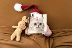 -西瓜庄园儿童摄影