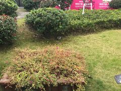 -中国丝业博物馆