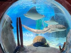 -沈阳海洋探索中心