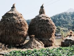 -绩溪龙川景区