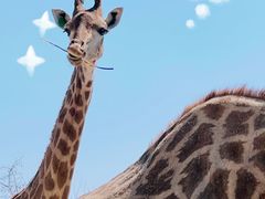 -济南野生动物世界