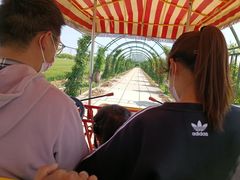 -嘉北郊野公园