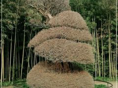 -苏州河梦清园环保主题公园