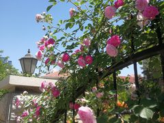 -天津五大道文化旅游区