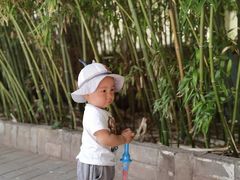 -呀路古热带植物园