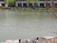 -上海怡沁园度假酒店