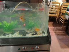 -老五烧烤(石牌岭店)