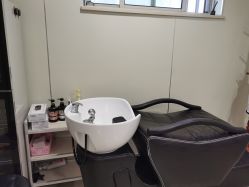 -碧莲盛·不剃发植发