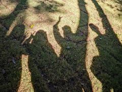 -南山风景名胜区