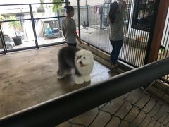 -TrueLove @ Neverland (Husky Cafe)