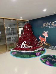 -丰联丽格医疗美容·联合丽格眼整形中心