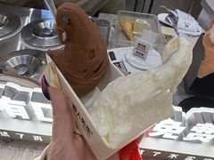 -野人先生现做冰淇淋(深圳壹方城店)