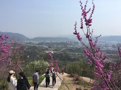 -天台山赤城山景区
