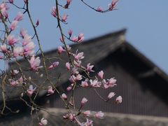 -杭州植物园