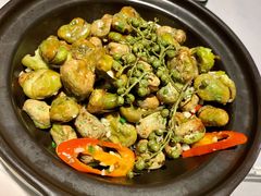 蚕豆煲-丰收日(五角场店)