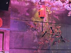 -喜鹊音乐酒馆(西街店)