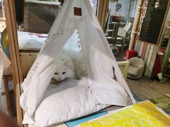 -小时光咖啡馆(开森度假森林店)