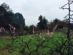 -窦圌山风景区